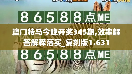 澳门特马今晚开奖345期,效率解答解释落实_复刻版1.631
