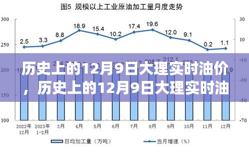 历史上的12月9日大理实时油价深度解析，市场波动背后的洞察与观点碰撞