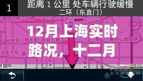 12月上海实时路况深度解析，把握魔都脉搏