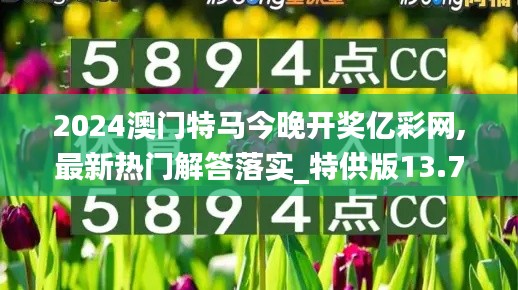 2024澳门特马今晚开奖亿彩网,最新热门解答落实_特供版13.797
