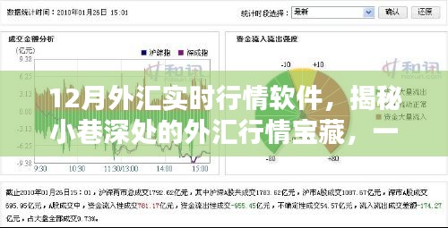 揭秘隐藏版外汇实时行情软件，犯罪与风险并存的外汇宝藏？