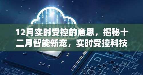 揭秘十二月智能新宠，实时受控科技重塑未来生活体验