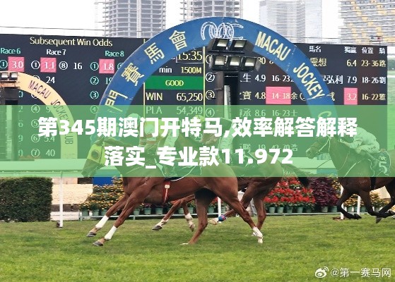 第345期澳门开特马,效率解答解释落实_专业款11.972