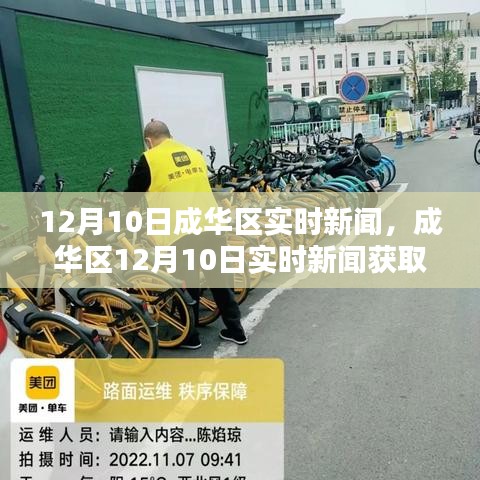 成华区12月10日实时新闻全攻略，轻松掌握最新资讯
