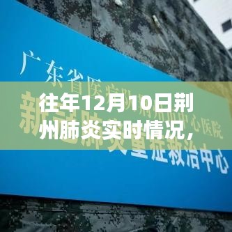 多维视角下的荆州肺炎实时情况探讨与往年个人立场分析——以十二月十日为例