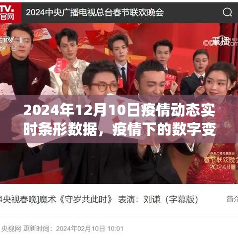 2024年疫情动态实时条形数据，数字变迁下的信心与未来学习之路