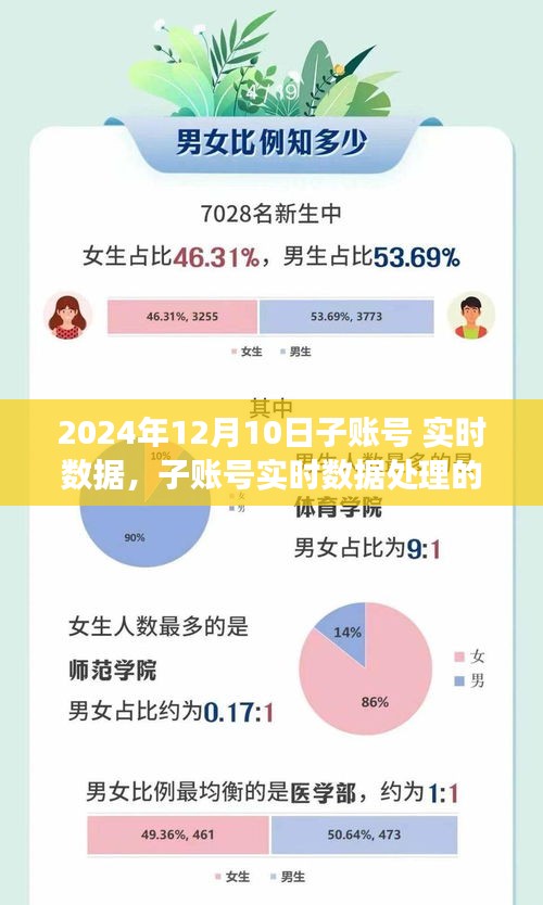 子账号实时数据处理洞察，深度解析与观点分享，2024年12月10日报告