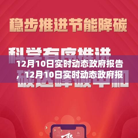 12月10日实时动态政府报告全面评测与介绍
