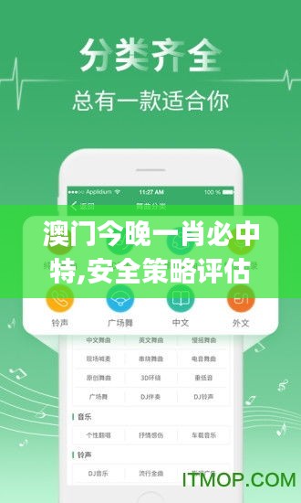 澳门今晚一肖必中特,安全策略评估_安卓款6.838