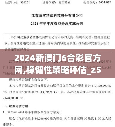 2024新澳门6合彩官方网,稳健性策略评估_zShop8.967