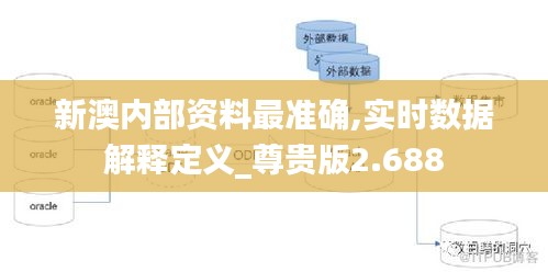 新澳内部资料最准确,实时数据解释定义_尊贵版2.688