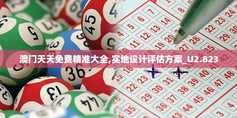 澳门天天免费精准大全,实地设计评估方案_U2.823