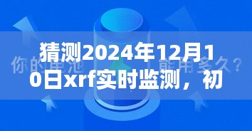 初学者也能轻松掌握，2024年XRF实时监测步骤指南与预测