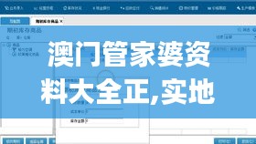 澳门管家婆资料大全正,实地考察数据应用_Windows7.343