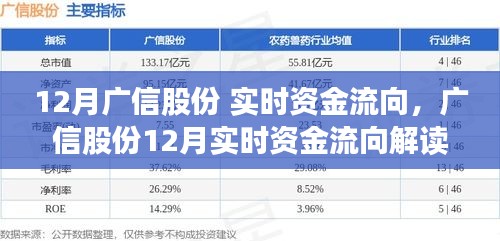 广信股份12月实时资金流向深度解读，经济逻辑与个人观点分析