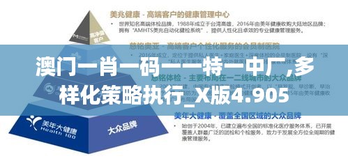 澳门一肖一码一一特一中厂,多样化策略执行_X版4.905