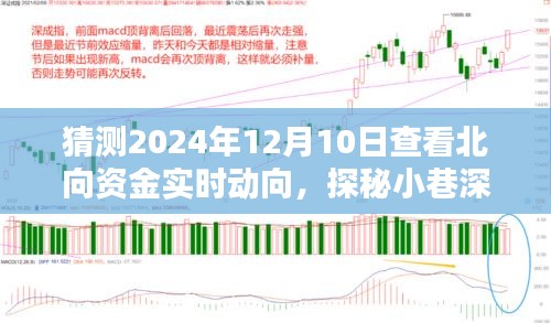 探秘北向资金实时动向与小巷深处独特风味，2024年12月10日的奇遇