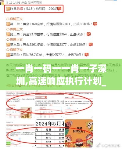 一肖一码一一肖一子深圳,高速响应执行计划_网页版12.947