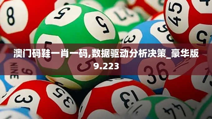 澳门码鞋一肖一码,数据驱动分析决策_豪华版9.223