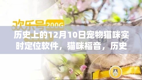 宠物猫咪实时定位软件的诞生与发展，历史上的12月10日里程碑事件回顾