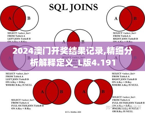 2024澳门开奖结果记录,精细分析解释定义_L版4.191