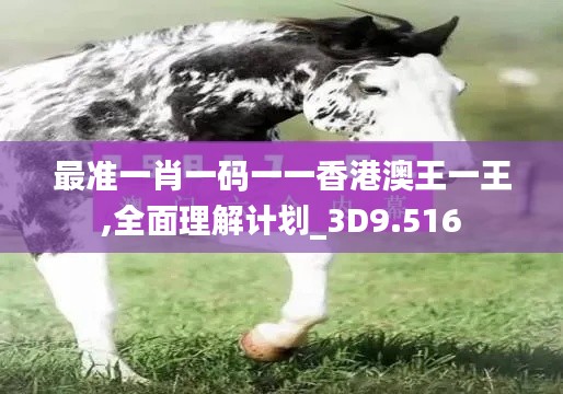 最准一肖一码一一香港澳王一王,全面理解计划_3D9.516