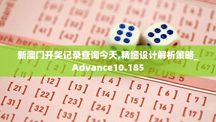 新澳门开奖记录查询今天,精细设计解析策略_Advance10.185