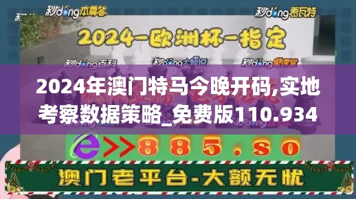 2024年澳门特马今晚开码,实地考察数据策略_免费版110.934