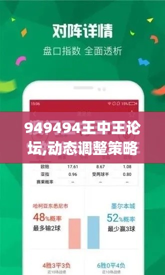 949494王中王论坛,动态调整策略执行_Plus6.913