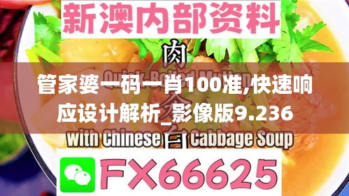 管家婆一码一肖100准,快速响应设计解析_影像版9.236