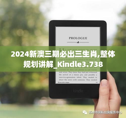 2024新澳三期必出三生肖,整体规划讲解_Kindle3.738
