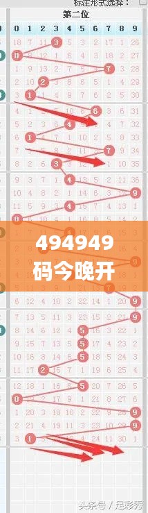 494949码今晚开奖记录,定量分析解释定义_完整版9.412