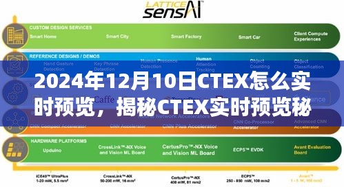 揭秘CTEX实时预览秘籍，小巷特色小店的探索之旅！