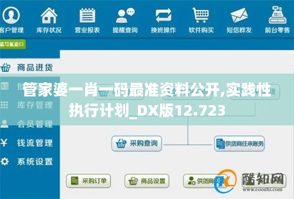 管家婆一肖一码最准资料公开,实践性执行计划_DX版12.723