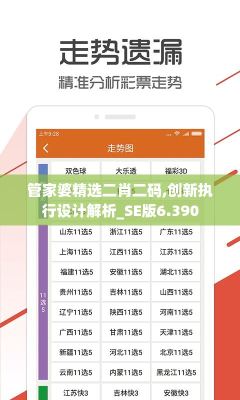 管家婆精选二肖二码,创新执行设计解析_SE版6.390