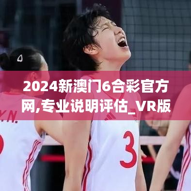 2024新澳门6合彩官方网,专业说明评估_VR版3.112