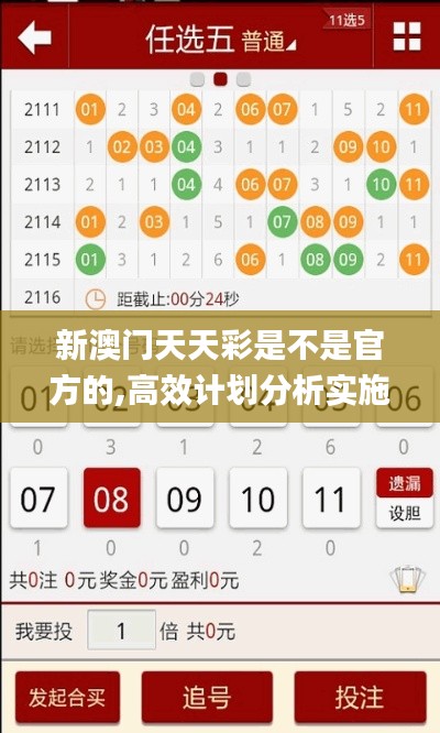 新澳门天天彩是不是官方的,高效计划分析实施_黄金版3.733