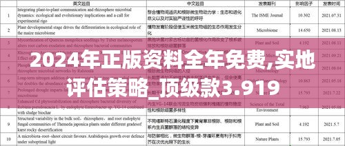 2024年正版资料全年免费,实地评估策略_顶级款3.919