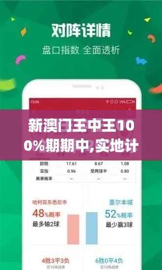 新澳门王中王100%期期中,实地计划验证策略_专属款5.215