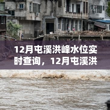 最新屯溪洪峰水位实时查询，保障安全出行的必备信息