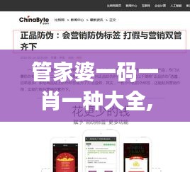 管家婆一码一肖一种大全,完善的机制评估_BT17.453