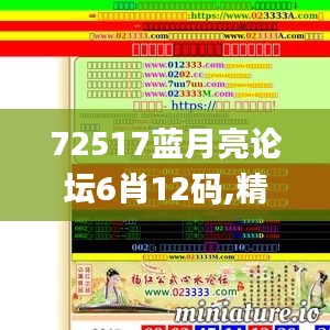 72517蓝月亮论坛6肖12码,精细化策略探讨_4DM9.559