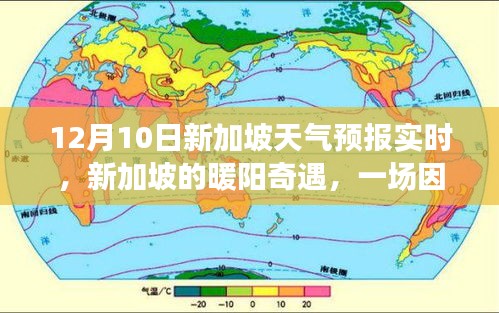 新加坡暖阳奇遇，天气牵动的友情故事，12月10日实时天气预报