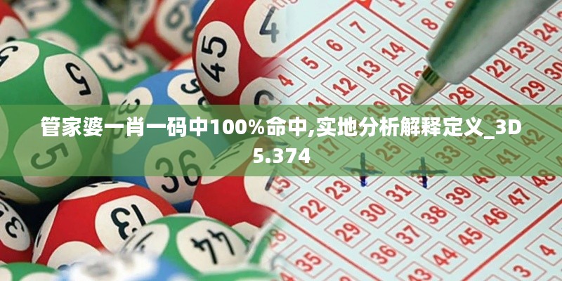管家婆一肖一码中100%命中,实地分析解释定义_3D5.374