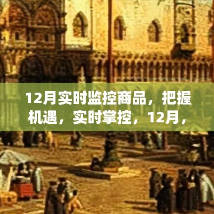 12月商品实时监控，见证魔力与学习力量