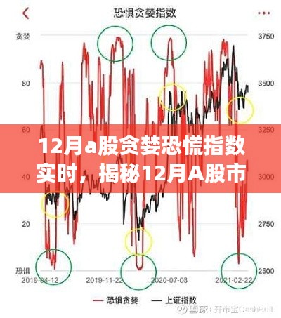 揭秘12月A股市场的贪婪与恐慌，实时指数深度解析