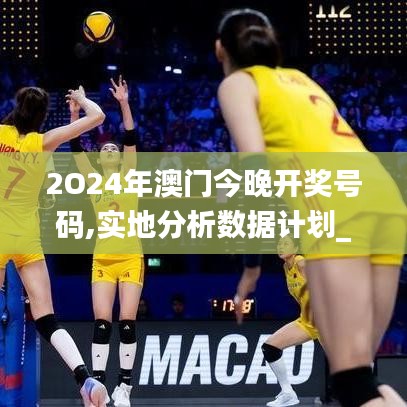 2O24年澳门今晚开奖号码,实地分析数据计划_桌面款9.547