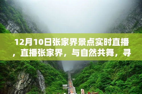 12月10日张家界景点实时直播，与自然共舞，探寻心灵净土之旅