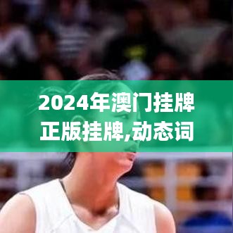 2024年澳门挂牌正版挂牌,动态词汇解析_高级款1.206