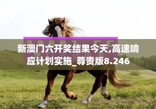 新澳门六开奖结果今天,高速响应计划实施_尊贵版8.246
